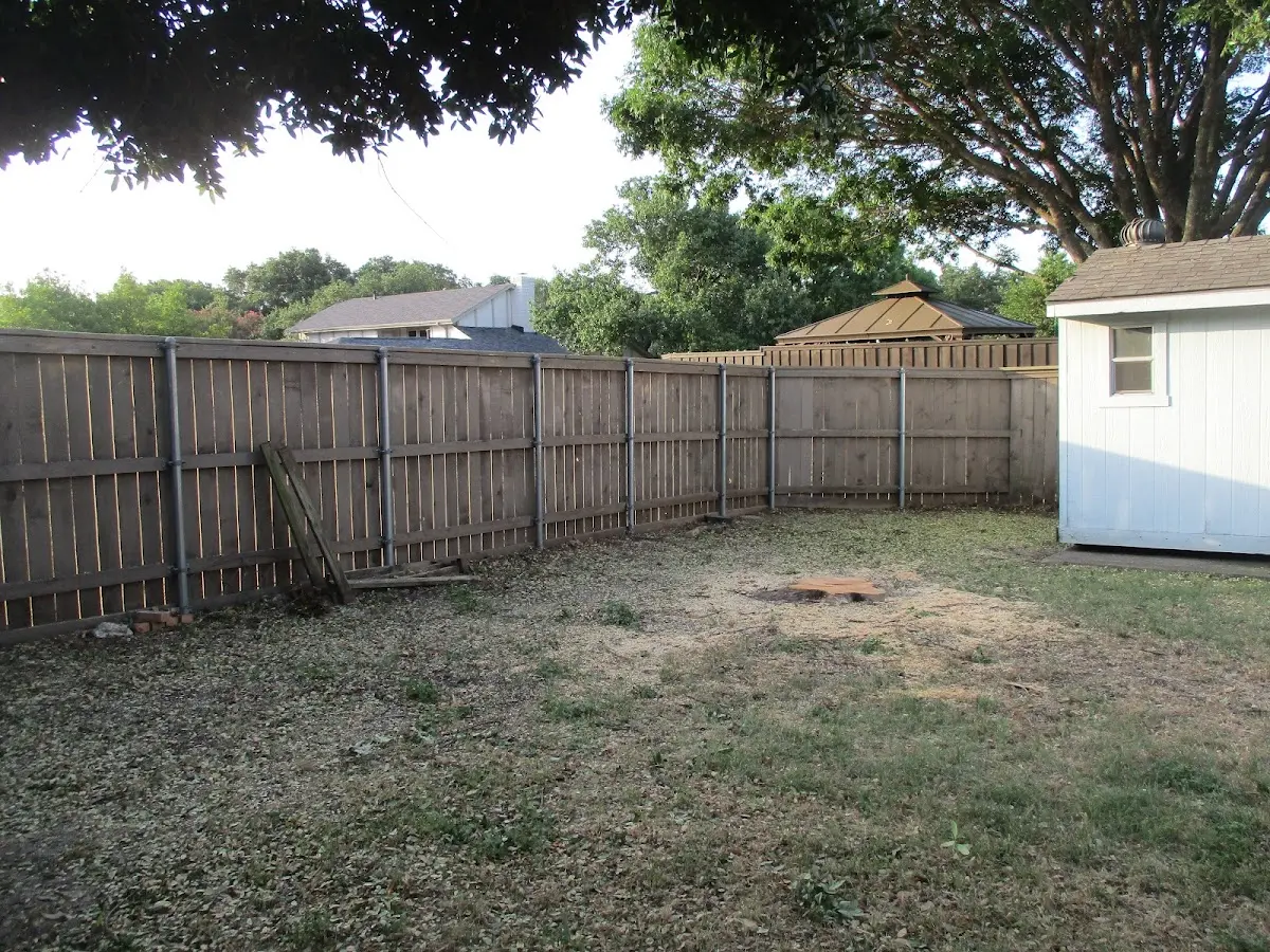 Cleared yard after professional tree removal in Brinkhaven